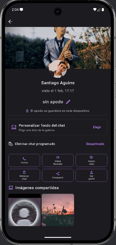 Perfil de contacto en el chat