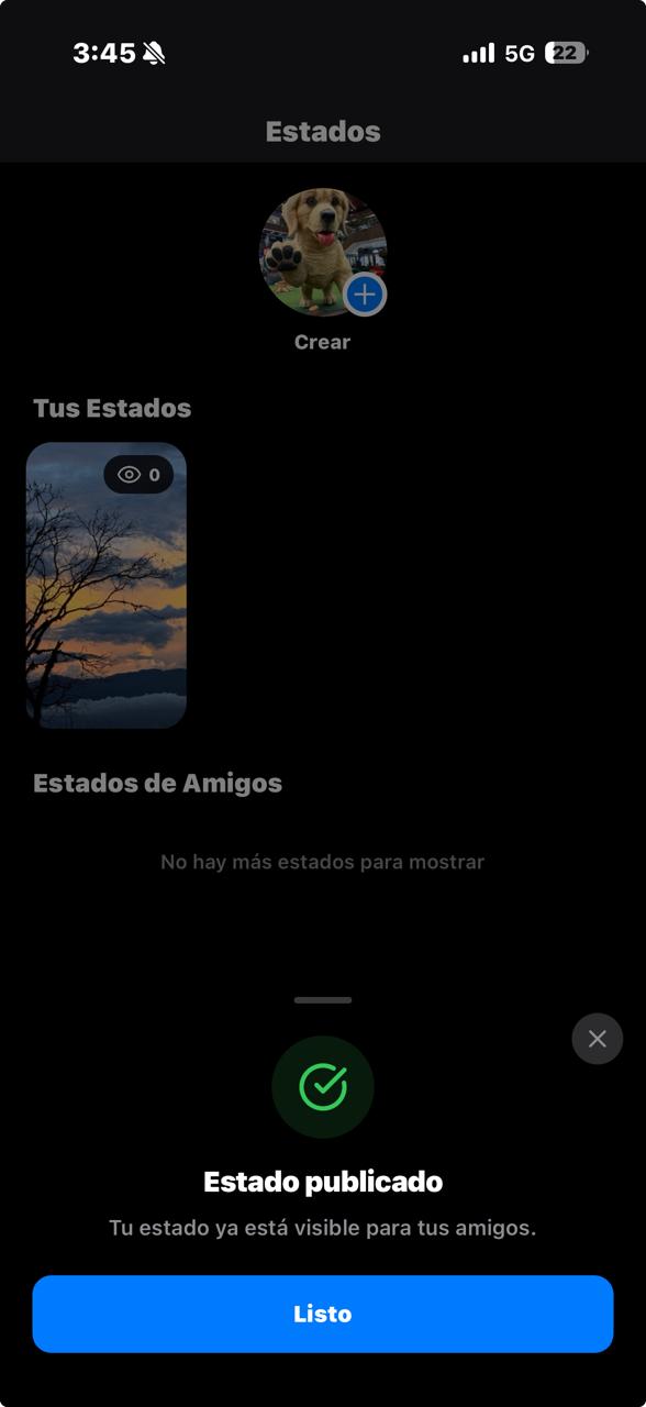 Estado publicado y vistas